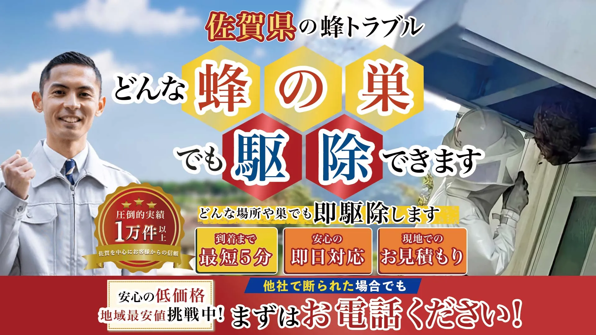 どんな蜂の巣でも駆除できます