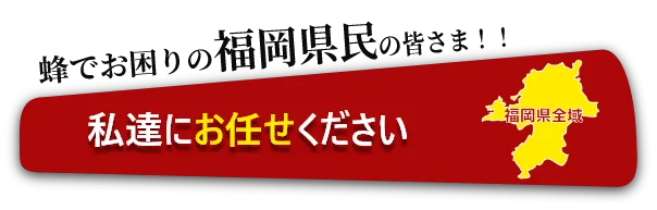 蜂にお困りの福岡県の皆様！私たちにお任せください