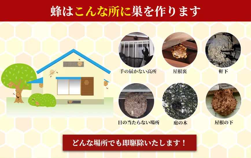 蜂はこんな所に巣を作ります