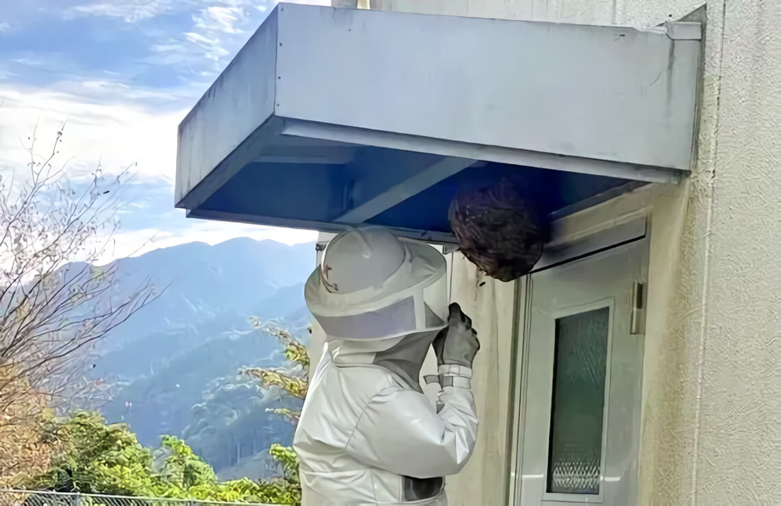 屋外の蜂の巣を駆除する作業員