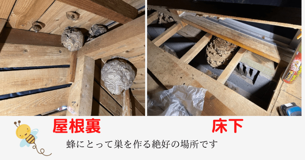 屋根裏床下の蜂の巣